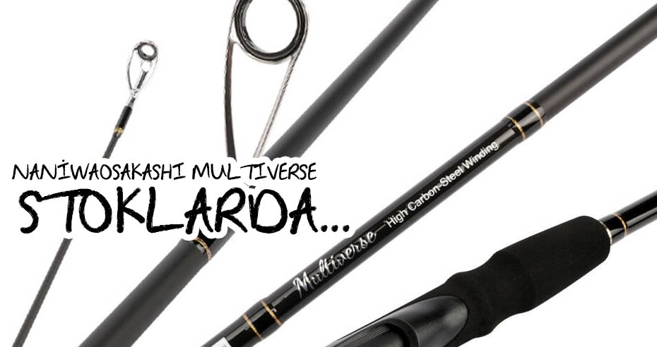 MULTİVERSE