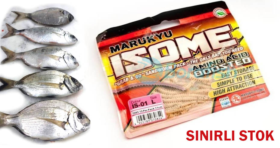 İSOME