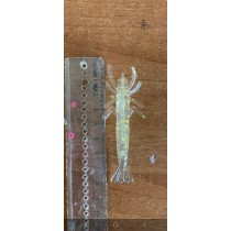 Adana işi 8cm Silikon Karides 